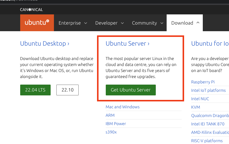 Download ubuntu server